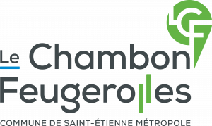 Logo CHAMBON Flles